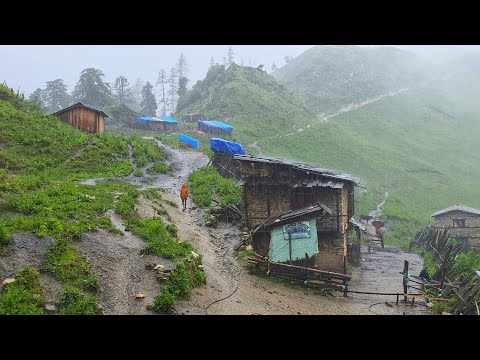 This is Himalayan Nepali Mountain Village Life During the
