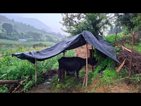 Simple the Best Mountain village Life Rainy Day in Village