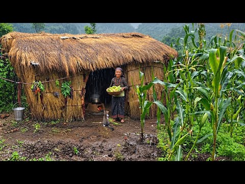 Naturally Most Beautiful Nepali Mountain Village Life in