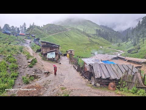 Most Peaceful Relaxing Nepali Mountain Village Life All