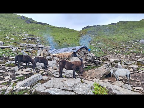 Nepali Mountain Village Life Nepal Daily Lifestyle of