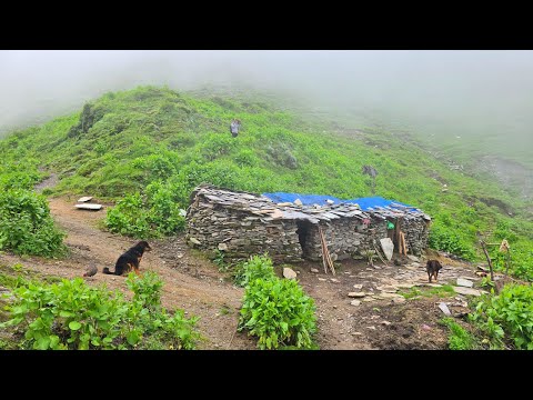 Nepali Mountain Village Life Organic Shepherd Food Most