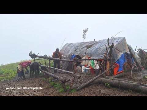 Beautiful And Relaxing Nepali Mountain Village Life Daily