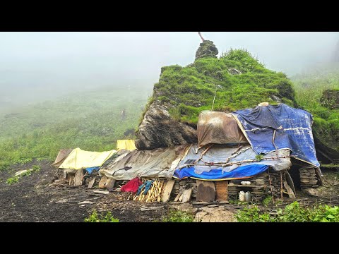 Himalayan Shepherd Life The Making Process Of Ghee in the