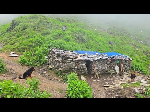 Real Himalayan Nepali Mountain Village Life During Heavy