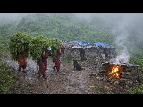 This is Himalayan Nepali Mountain Village Life Naturally
