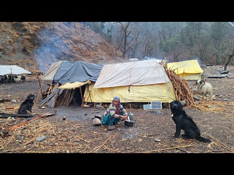 Nepali Mountain Village Life Sheep Shepherd Life in Nepal