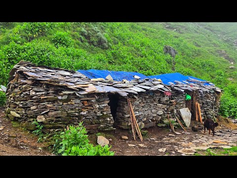 Poor But Happy Family Living in Beautiful House Organic