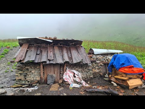 Nepali Mountain Village Life in Nepal Wild Garlic Hunters
