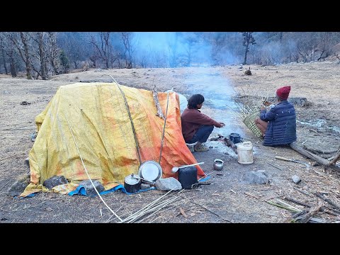 Himalayan Sheep Shepherd Life in Winter Organic Shepherd