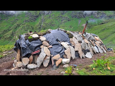 Best Nepali Mountain Village Life Wild Garlic Hunters