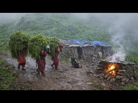 This is Himalayan Nepali Mountain Village Life Naturally