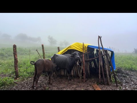 Nepali Mountain Village Life Nepal The Daily Life Of