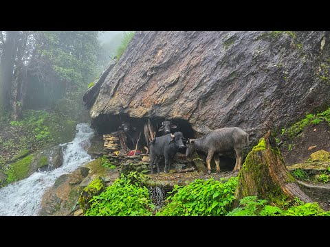 Best Life in A Nepali Mountain Village During the Rainy