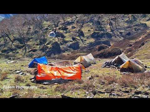 Himalayan Village Life Dolpa Nepal Yarsagumba Hunter