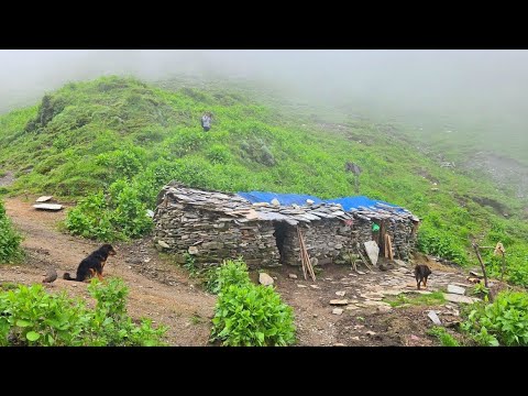Real Nepali Mountain Village Life During Heavy Rain Season