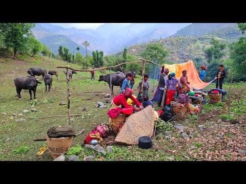 Nepali Mountain Village Life Nepal Shepherd Life Making
