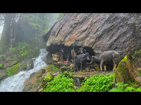 Real Nepali Mountain Village Life During the Rain Most