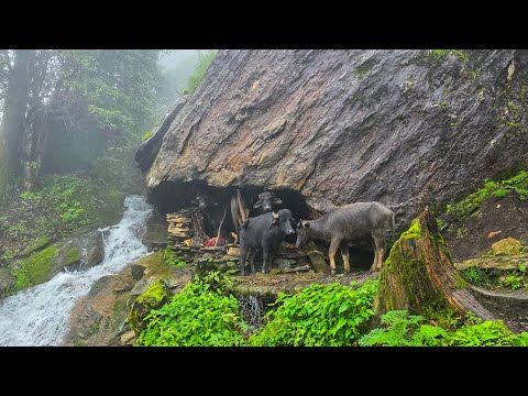 Best Life in A Nepali Mountain Village During the Rainy