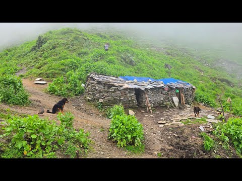 Real Nepali Mountain Village Life During Heavy Rain Season
