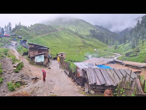 Most Peaceful and Relaxation Himalayan Village Lifestyle