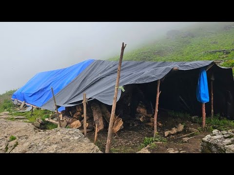 Beautiful Nepali Mountain Village Life Shepherd Life Lambs