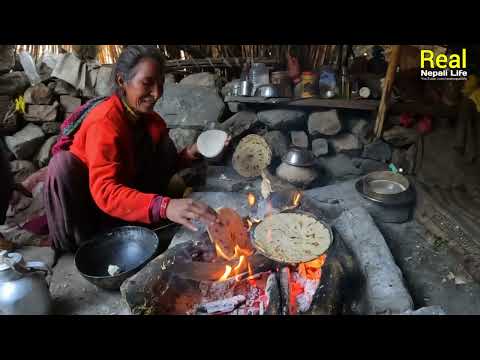 Sheep Shepherd Life in Nepali Mountain Village Shepherd