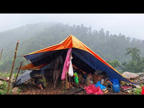 Nepali Mountain Village Life Rainy Day Shepherd Food Most