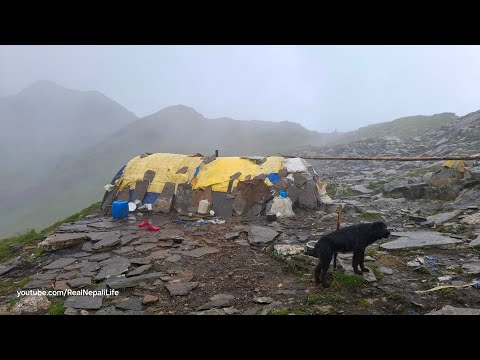 Nepali Mountain Village Life Sheep Shepherd Life Heavy