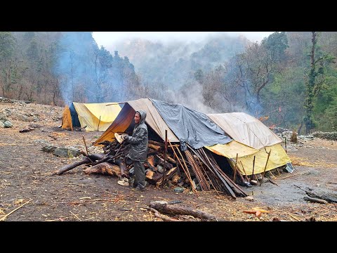 Nepali Himalayan Sheep Shepherd Life in Winter Shepherd
