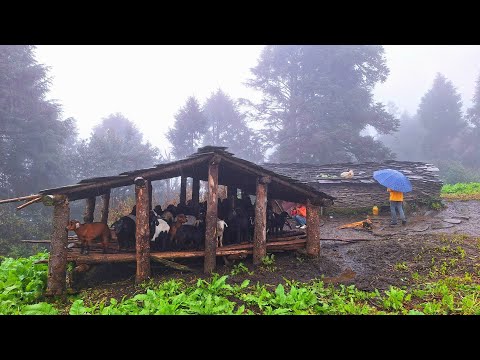 Surviving Life in the Nepali Mountains During the Rainy