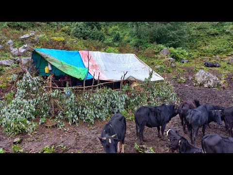 Very Beautiful Rural Nepali Village Lifestyle Poor But