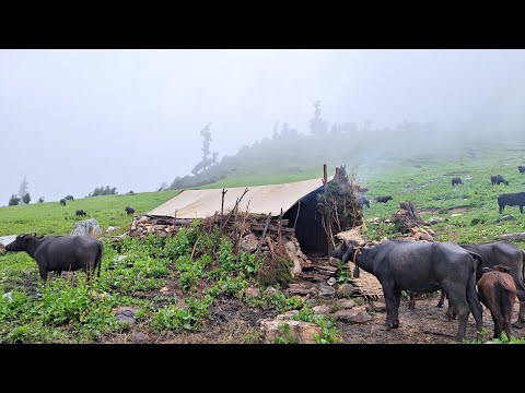 Simple the Best Himalayan Village Lifestyle Mountain Life
