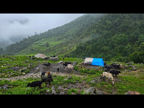 Surviving Life in the Nepali Mountains During the Rainy