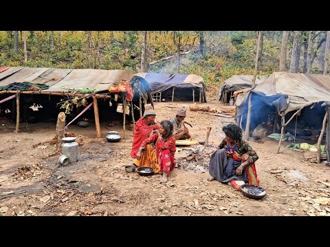 The Last Nomad in Nepal Raute Tribe Real Raute Tribe Life