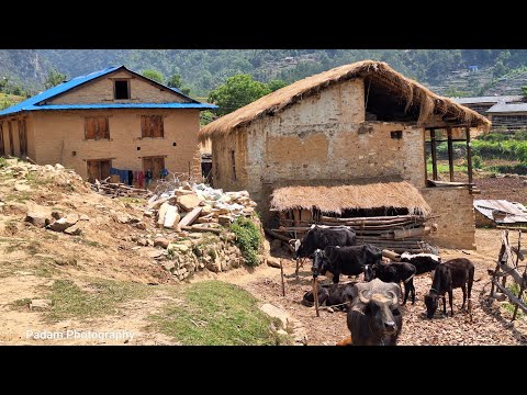 Very Hardworking Mountain Village People Daily Lifestyle