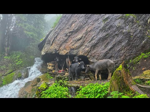 This is Himalayan Nepali Mountain Village Life During the