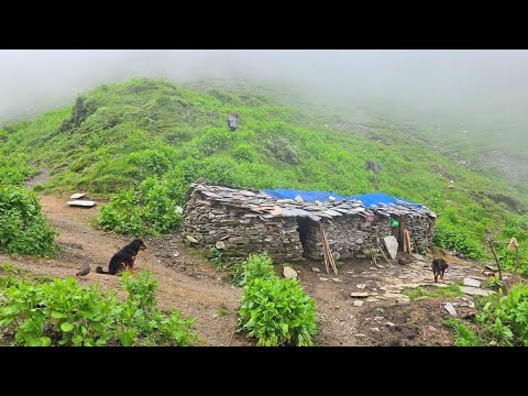 Real Nepali Mountain Village Life During the Rain Most