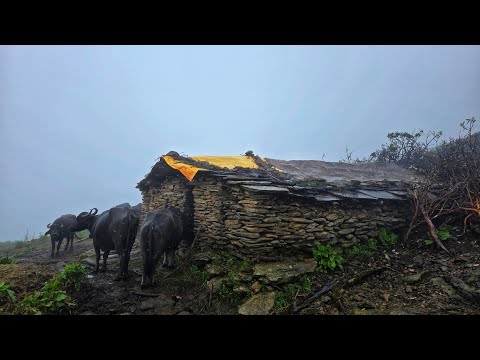 Most Relaxing Nepali Mountain Village Life During the Rainy