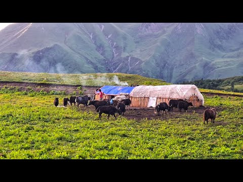 Nepali Mountain Village Life Shepherd Life Rainy Day