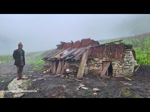 Most Relaxing Mountain Village Life Rainy Day All Season
