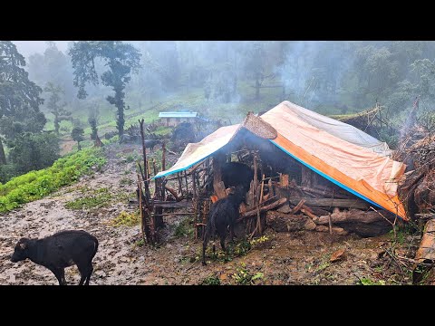 This is Shepherd Life Nepal Ep 1 Rainy Day Village Life