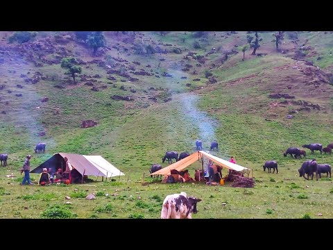 Most Peaceful And Relaxing Himalayan Village Lifestyle