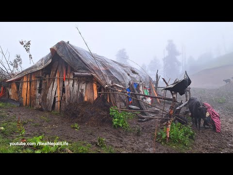 Surviving Life in the Nepali Mountains During the Rainy