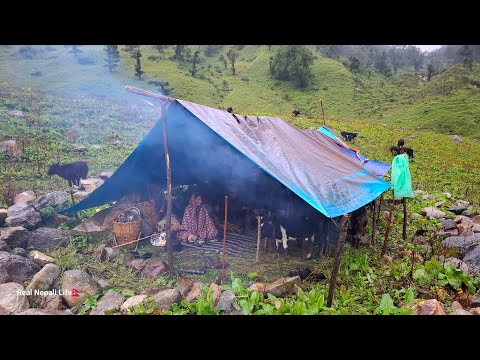 This is Shepherd Life Nepal Organic Shepherd Food Returning