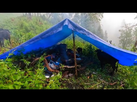 Poor But Happy Family Life in Nepali Village Organic Food