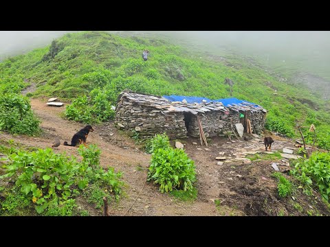 Naturally Beautiful Mountain Village Life During the Rain
