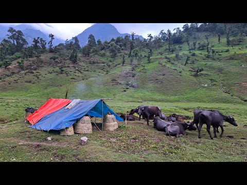 Himalayan Village Life Nepal beautiful Rural Village Life