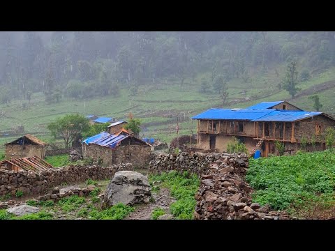 Most Peaceful and Relaxing Natural Mountain Village Life