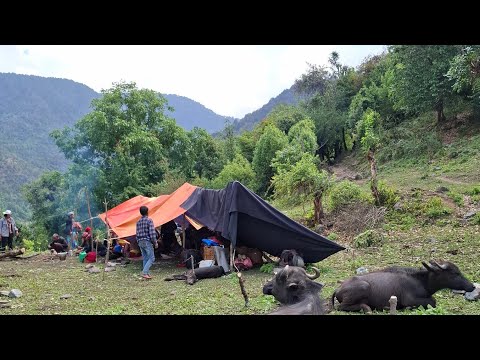 Nepali Mountain Village Life Nepal Rainy Time Organic